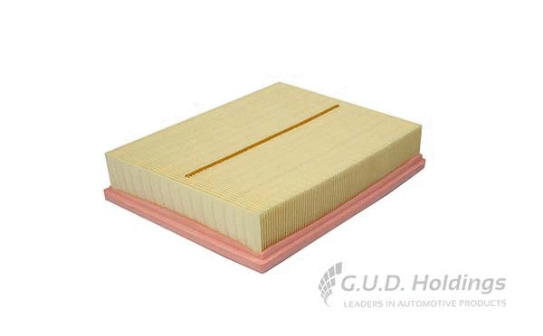 Air Filter (AG1581)