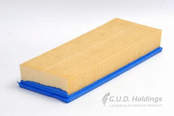 Air Filter (AG791)