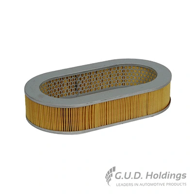 Air Filter (AG1001)