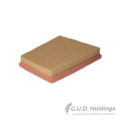 Air Filter (AG1359)