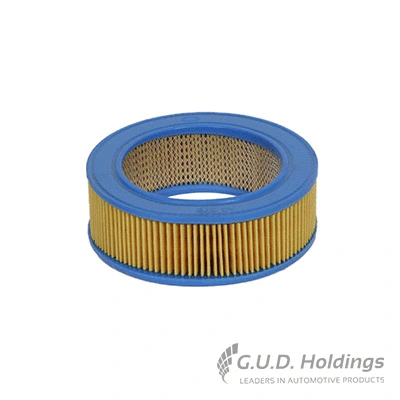 Air Filter (AG376)