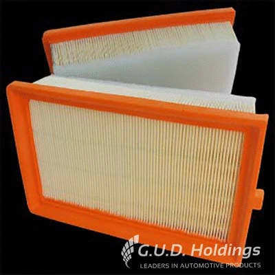 Air Filter (AG1715)