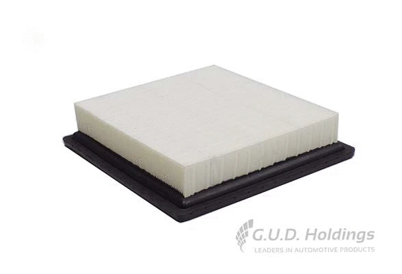 Air Filter (AG1774)