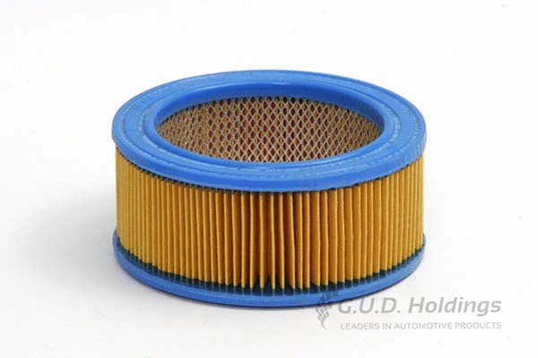Air Filter (AG631)