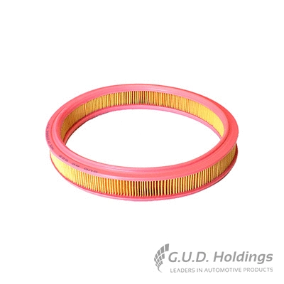 Air Filter (AG825)