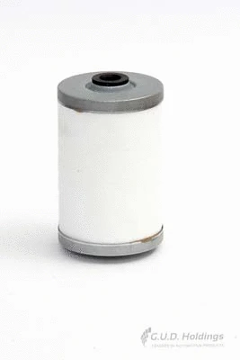 Fuel Filter (G543F)