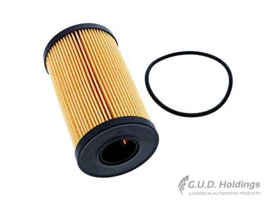 Oil Filter (M197)