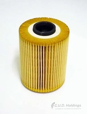 Oil Filter (M85)