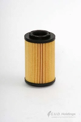 Oil Filter (M6)