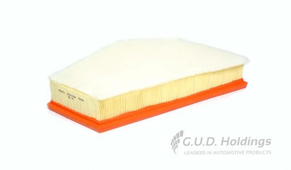 Air Filter (AG1523)