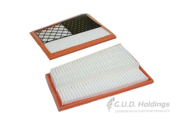 Air Filter (AG1425)