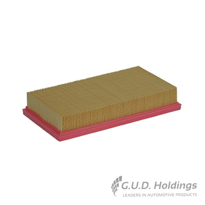Air Filter (AG979)
