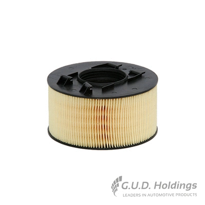 Air Filter (AG1201)