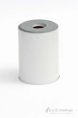 Fuel Filter (G912)