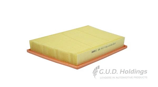 Air Filter (AG1685)