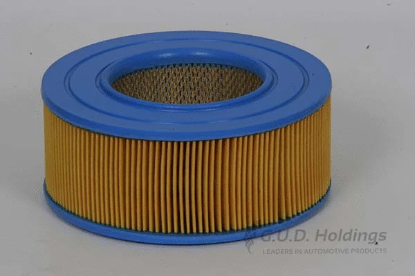 Air Filter (AG786)