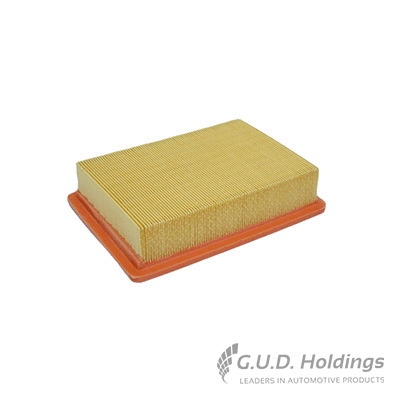 Air Filter (AG1449)