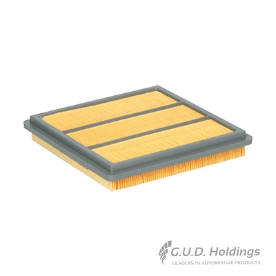 Air Filter (AG867)