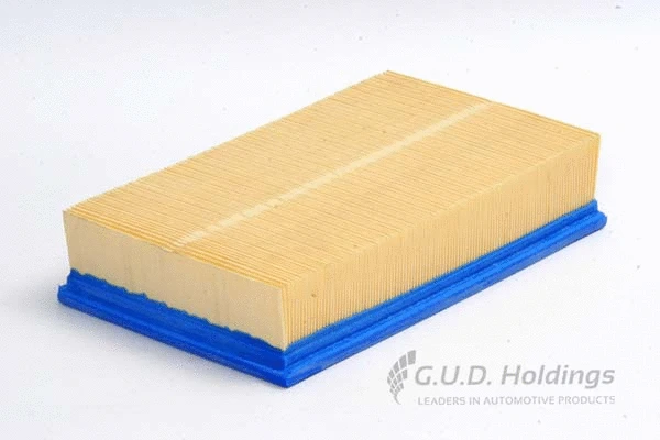 Air Filter (AG861)