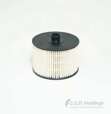 Fuel Filter (M74)