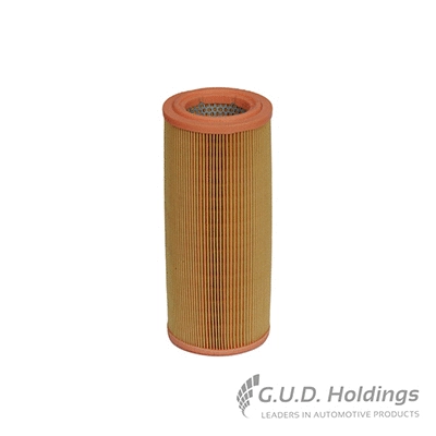 Air Filter (AG1160)