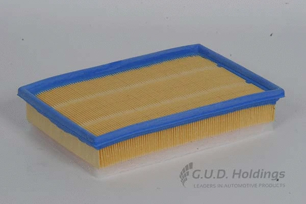 Air Filter (AG996)