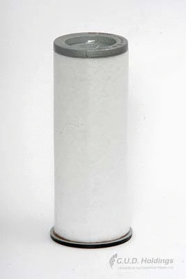 Secondary Air Filter (ADG802)