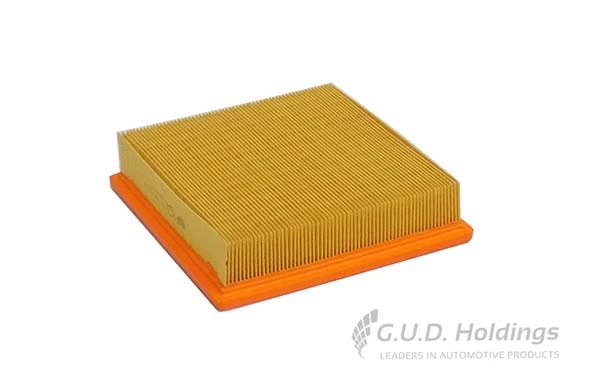 Air Filter (AG1671)