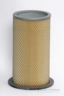 Secondary Air Filter (ADG774)