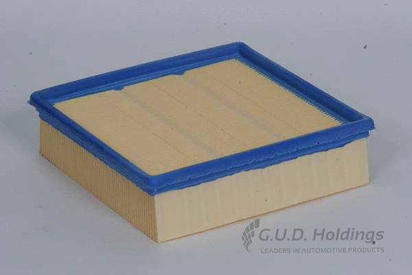 Air Filter (AG584)