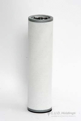 Secondary Air Filter (ADG683)