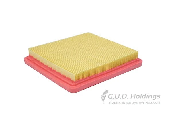 Air Filter (AG1569)