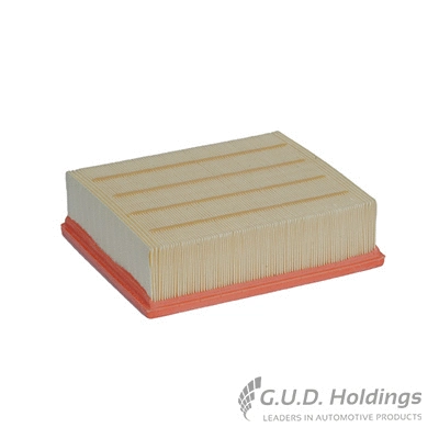 Air Filter (AG1156)