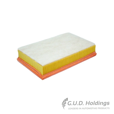 Air Filter (AG1447)