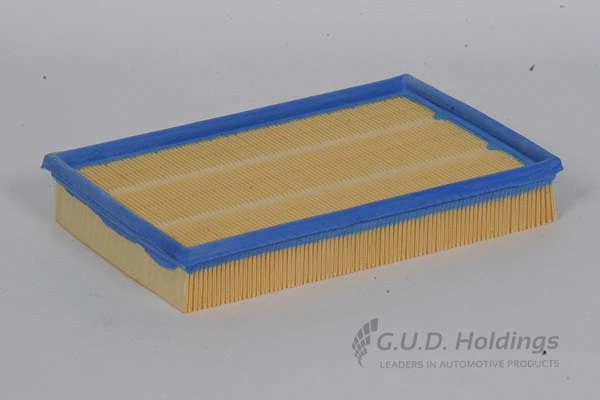 Air Filter (AG925)