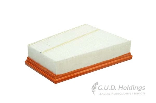 Air Filter (AG1706)