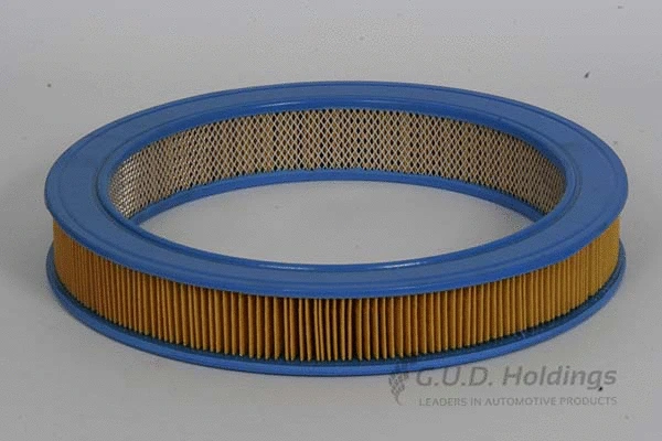 Air Filter (AG596)