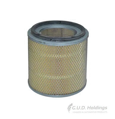 Air Filter (ADG1092)