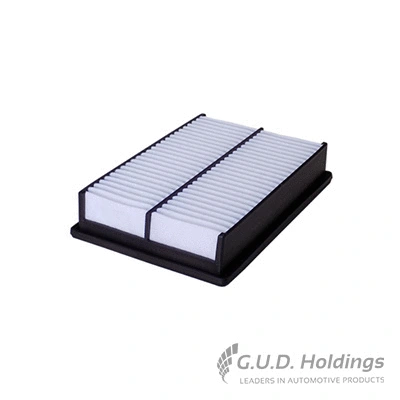 Air Filter (AG1209)