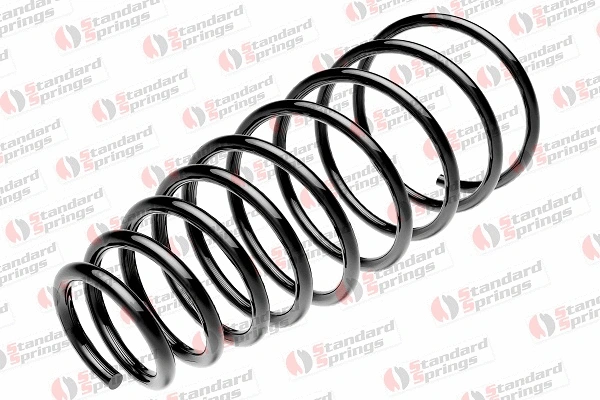 Suspension Spring (ST 123 024 F)