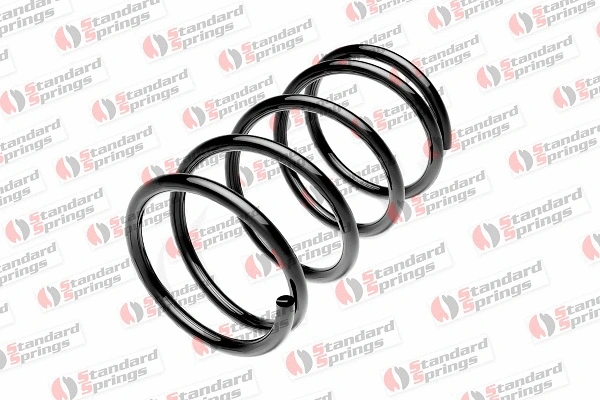 Suspension Spring (ST 110 072 F)