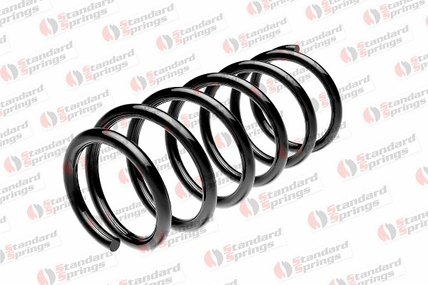 Suspension Spring (ST 123 025 R)