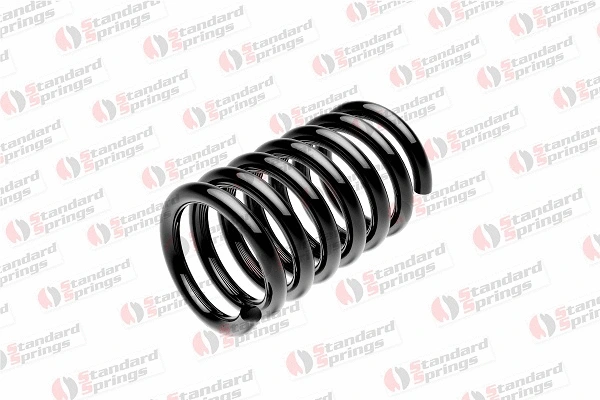 Suspension Spring (ST 110 070 F)