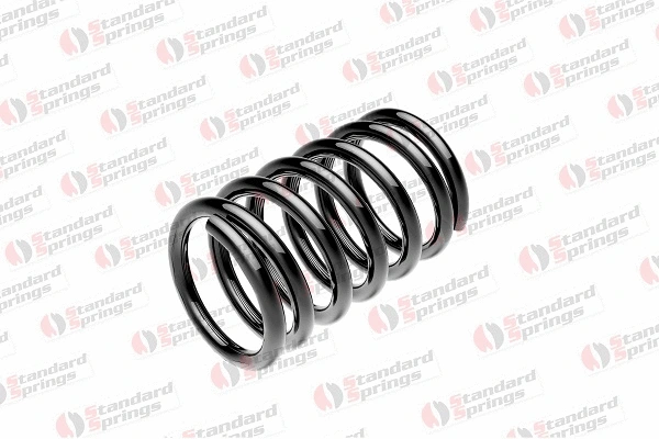 Suspension Spring (ST 110 096 F)