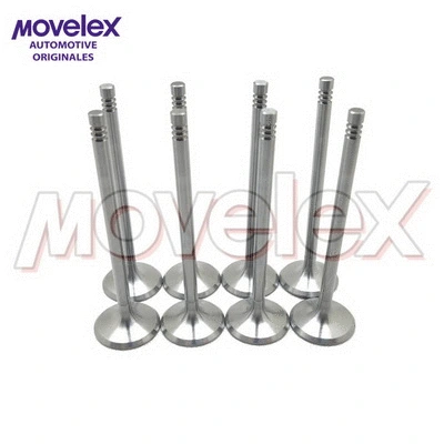 Intake Valve (M04640)