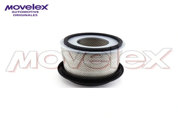 Air Filter (M23858)