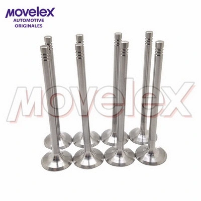 Exhaust Valve (M04641)