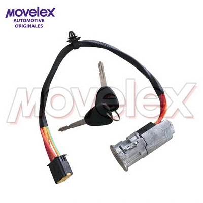 Ignition Switch (M21304)