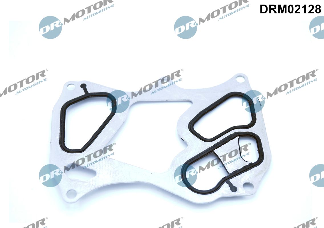 Gasket, oil cooler (DRM02128)
