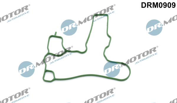 Gasket, crankcase ventilation (DRM0909)
